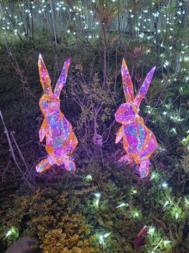 11月のトリミングデー