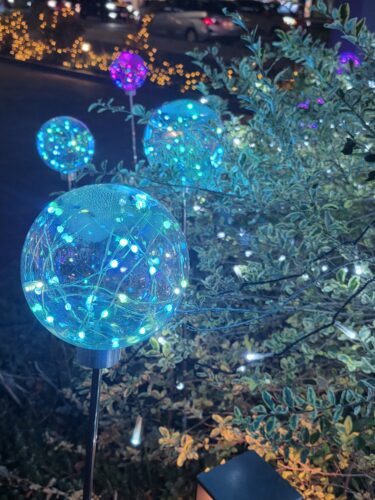 2025年最後のトリミング