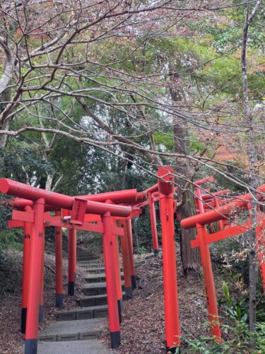 2026年2月のトリミング