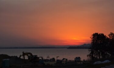 2026年3月のトリミング