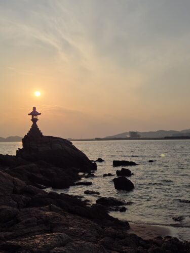 2026年最初のトリミング