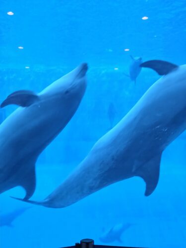 2026年2月の定期受診