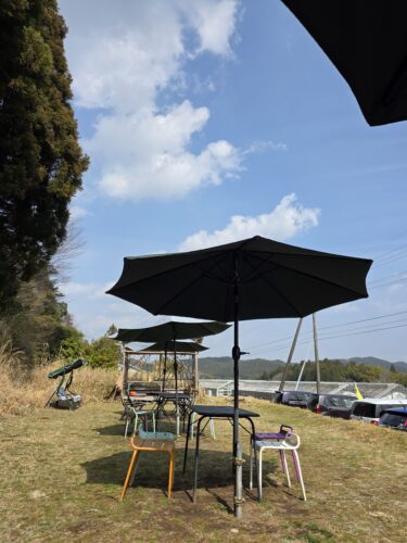 蛋白漏出性腸症再燃