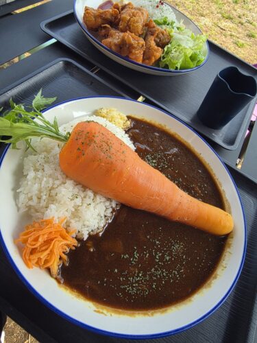 久々の体調悪化